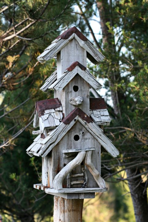 Decorative Wooden Bird Houses