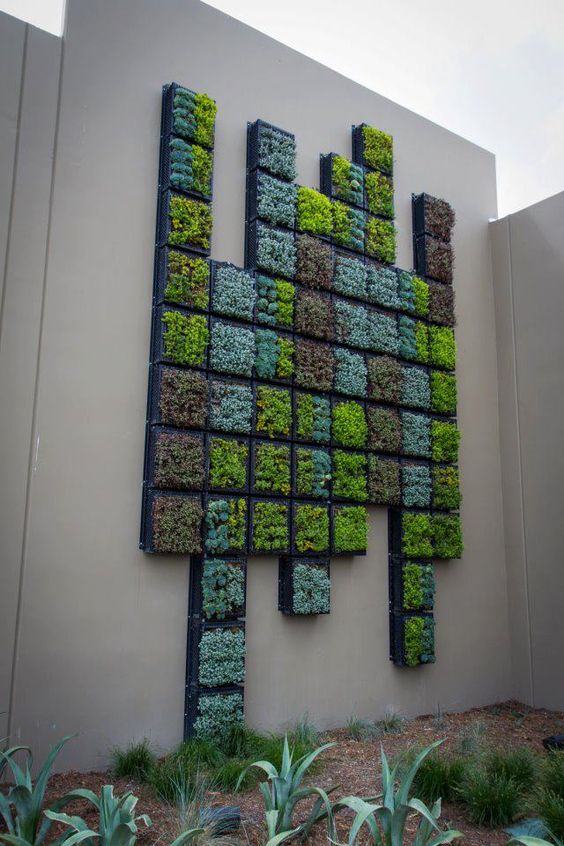 vertical garden wall