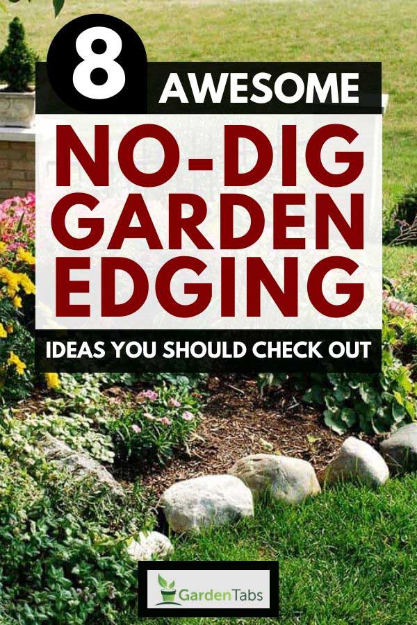 lawn edging ideas