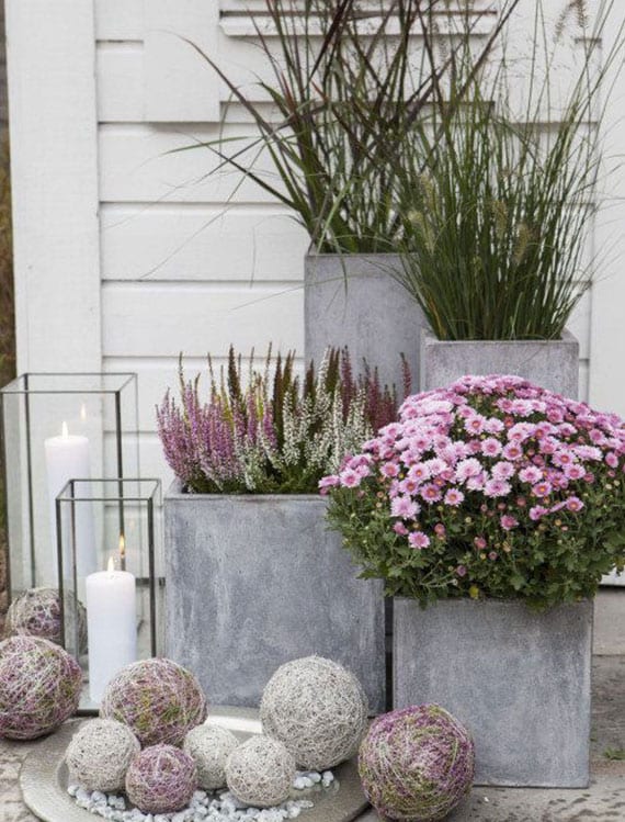 Decorate the balcony effectively and modernly with candles in glass candle holders, ornamental grasses and pink chrysanthemums in concrete flower pots