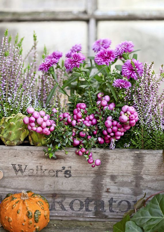 Herbal bakondo decoration with pseudo-berries, artichokes, heather and aster in a rustic wooden box