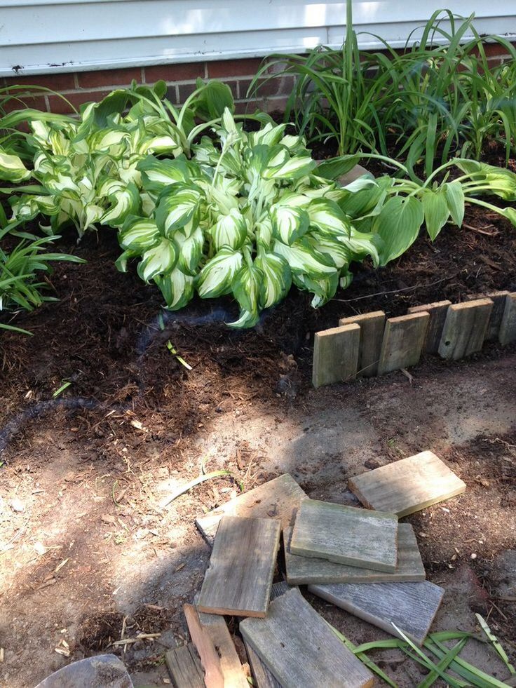 garden edging ideas