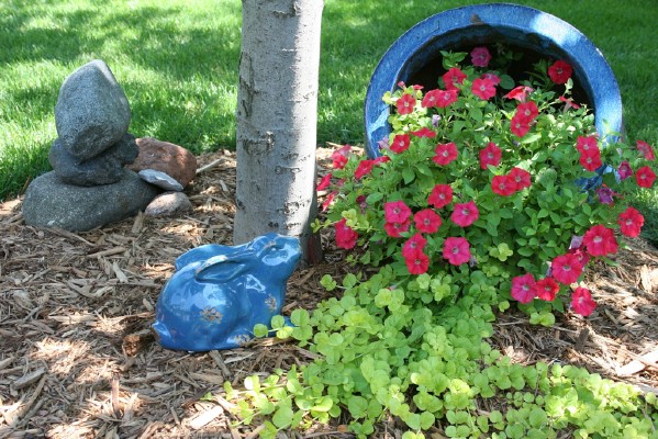 Red flowers in bucket