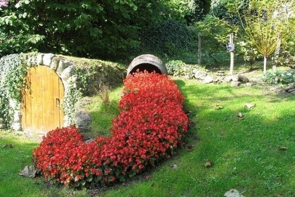 Red flowers in pot