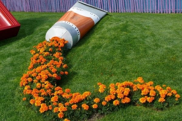 Marigolds spilling out of fake paint tube