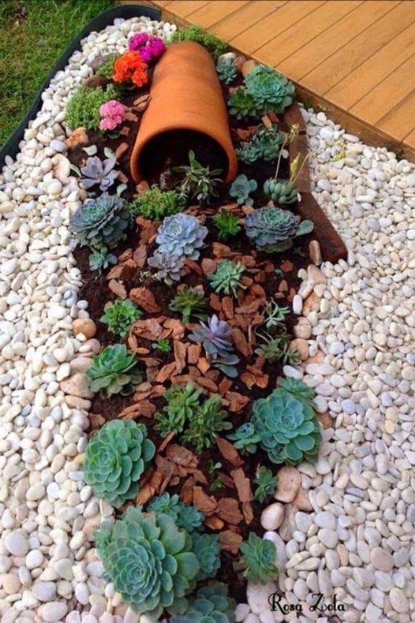 Succulents in white pebble garden