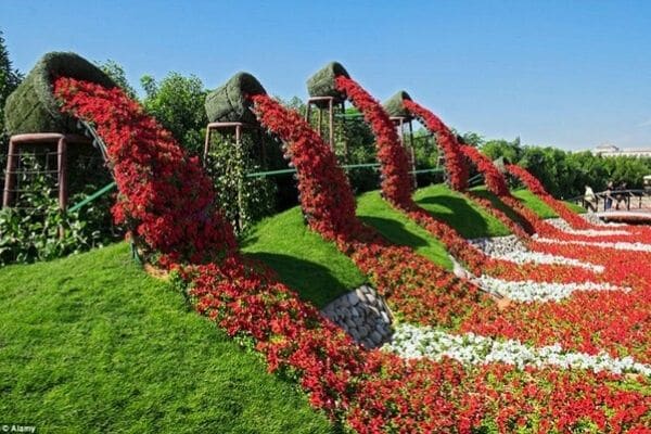 Waterfall spilled flowers in red