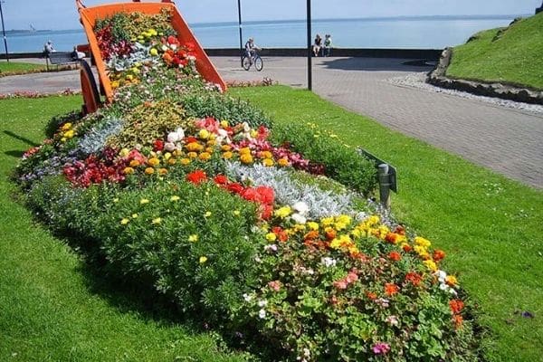 Wheelbarrow of rainbow flowers