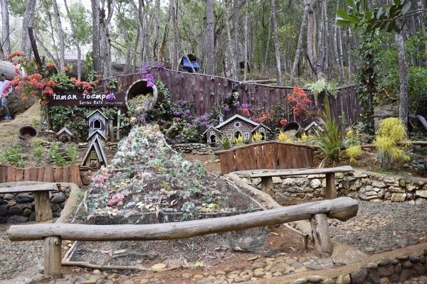 Fairy garden spilled flowers